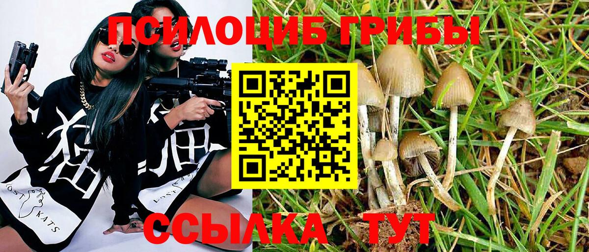 Галлюциногенные грибы GOLDEN TEACHER  где можно купить   Дивногорск  Вход с VPN 